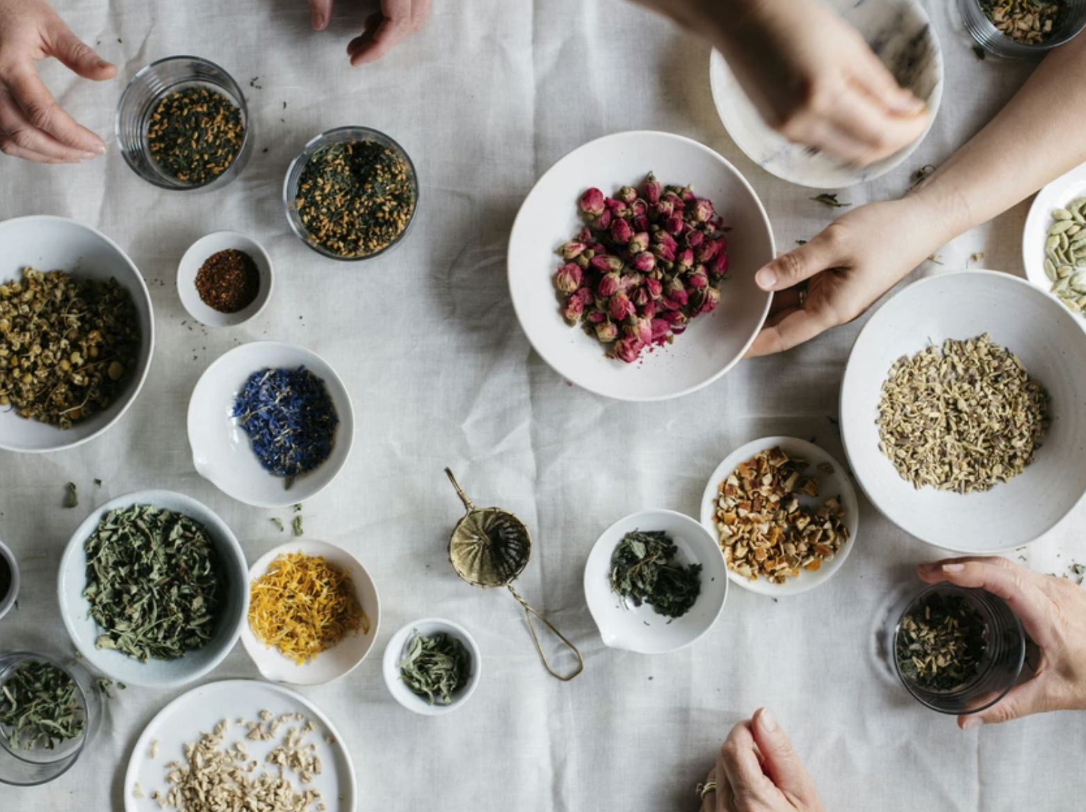 Билна традиција