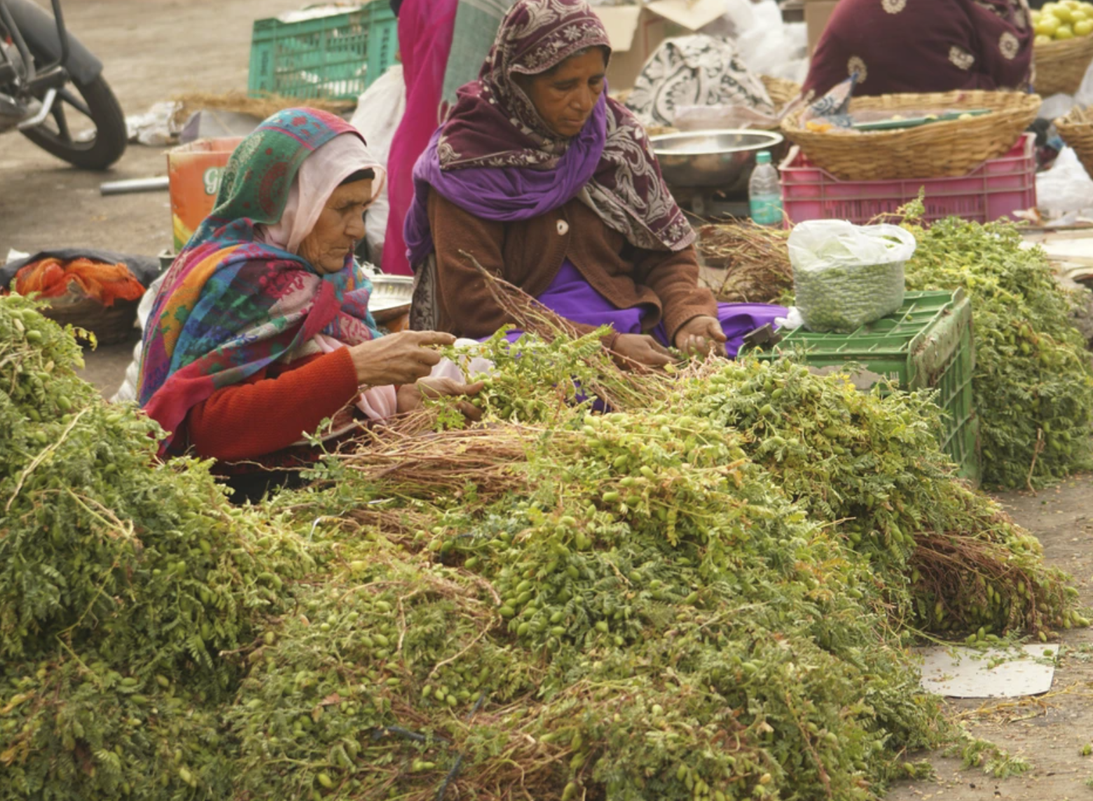 Фокус на заедницата